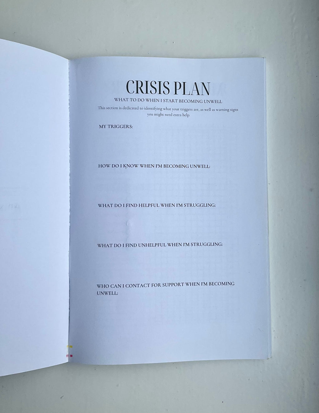 My BPD Journal